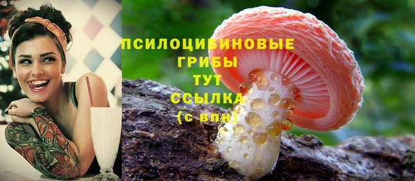 таблы Иннополис